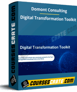 Domont Consulting – Digital Transformation Toolkit
