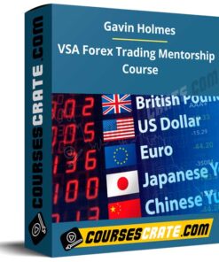 Gavin Holmes – VSA Forex Trading Mentorship Course