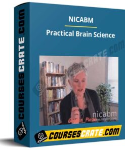 NICABM – Practical Brain Science