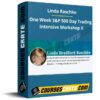 Linda Raschke – One Week S&P 500 Day Trading Intensive Workshop II
