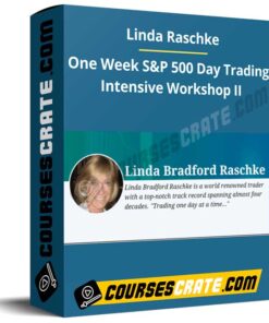 Linda Raschke – One Week S&P 500 Day Trading Intensive Workshop II
