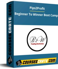 Pips2Profit – Beginner To Winner Boot Camp