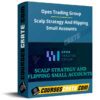 Opes Trading Group – Scalp Strategy And Flipping Small Accounts