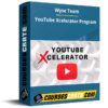 Wyse Team – YouTube Xcelerator Program