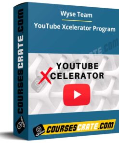 Wyse Team – YouTube Xcelerator Program