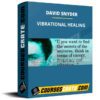 DAVID SNYDER – VIBRATIONAL HEALING