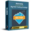 Basecamp – Big Fish Trading Strategy