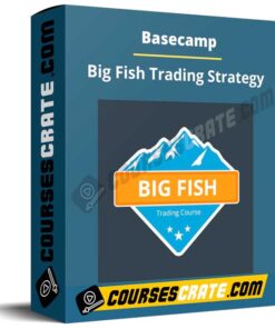 Basecamp – Big Fish Trading Strategy