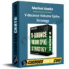 Market Geeks – V-Bounce Volume Spike Strategy