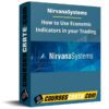 Nirvanasystems – How to Use Economic Indicators in your Trading