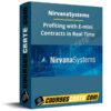 Nirvanasystems – Profiting with E-mini Contracts in Real Time