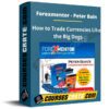 Peter Bain – Trade Currencies Like The Big Dogs