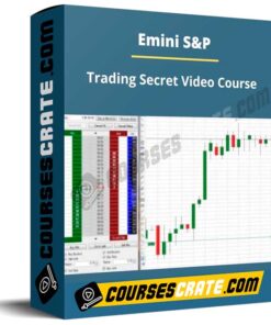 Emini SP Trading Secret Video Course