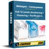 Holosync – Centerpointe – Full 12 Levels (Awakening + Flowering + Purification)